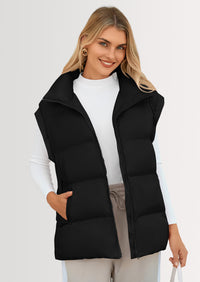 PRETTYGARDEN Women's Puffer Vest Fall Casual Stand Collar Lightweight Sleeveless Zip Up Padded Jackets Outerwear