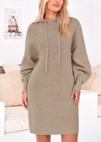 Knit Pullover Long Sleeve Hoodie Sweater Dress