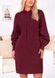 Knit Pullover Long Sleeve Hoodie Sweater Dress