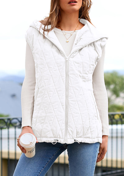 PRETTYGARDEN Women's Fall Spring Vest Casual Sleeveless Hooded Zip Up Jacket Trendy Winter Coat Outerwear