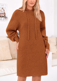 Knit Pullover Long Sleeve Hoodie Sweater Dress