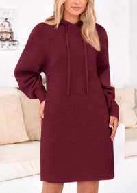 Knit Pullover Long Sleeve Hoodie Sweater Dress