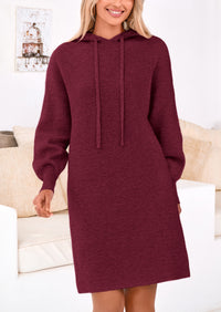 Knit Pullover Long Sleeve Hoodie Sweater Dress
