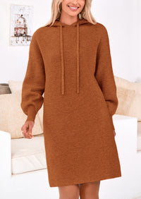 Knit Pullover Long Sleeve Hoodie Sweater Dress