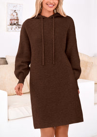 Knit Pullover Long Sleeve Hoodie Sweater Dress