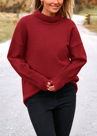 Long Sleeve Oversized Chunky Knitted Casual Turtleneck Sweaters