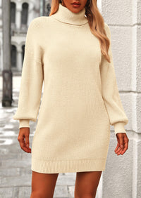 Long Sleeve Knit Turtleneck Pullover Loose Mini Sweater Dresses