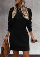 Long Sleeve Chunky Ribbed Knit Mini Sweater Dresses