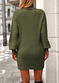 Long Sleeve Knit Turtleneck Pullover Loose Mini Sweater Dresses