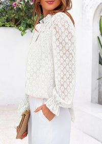 Eyelet Long Sleeve Casual Hollow Out Button Up Lace Blouse