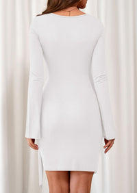 PRETTYGARDEN Women Mini Bodycon Dresses Long Sleeve Ruched Fitted Short Night Out Trendy Party Club Outfits Fall Clothes