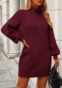 Long Sleeve Knit Turtleneck Pullover Loose Mini Sweater Dresses