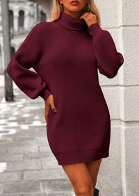 Long Sleeve Knit Turtleneck Pullover Loose Mini Sweater Dresses