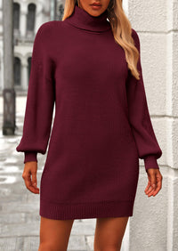 Long Sleeve Knit Turtleneck Pullover Loose Mini Sweater Dresses