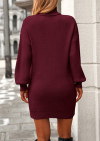 Long Sleeve Knit Turtleneck Pullover Loose Mini Sweater Dresses